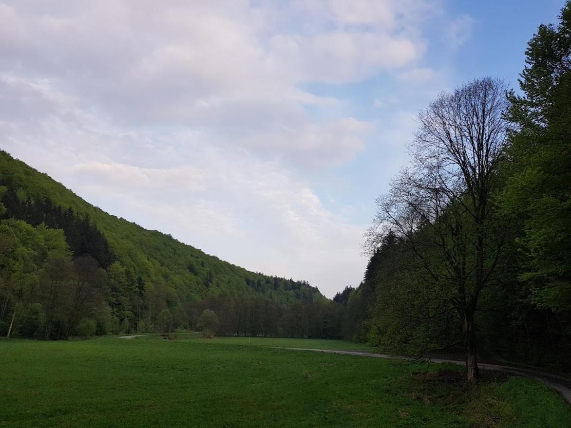 Schupplerova Vila Hostejn エクステリア 写真