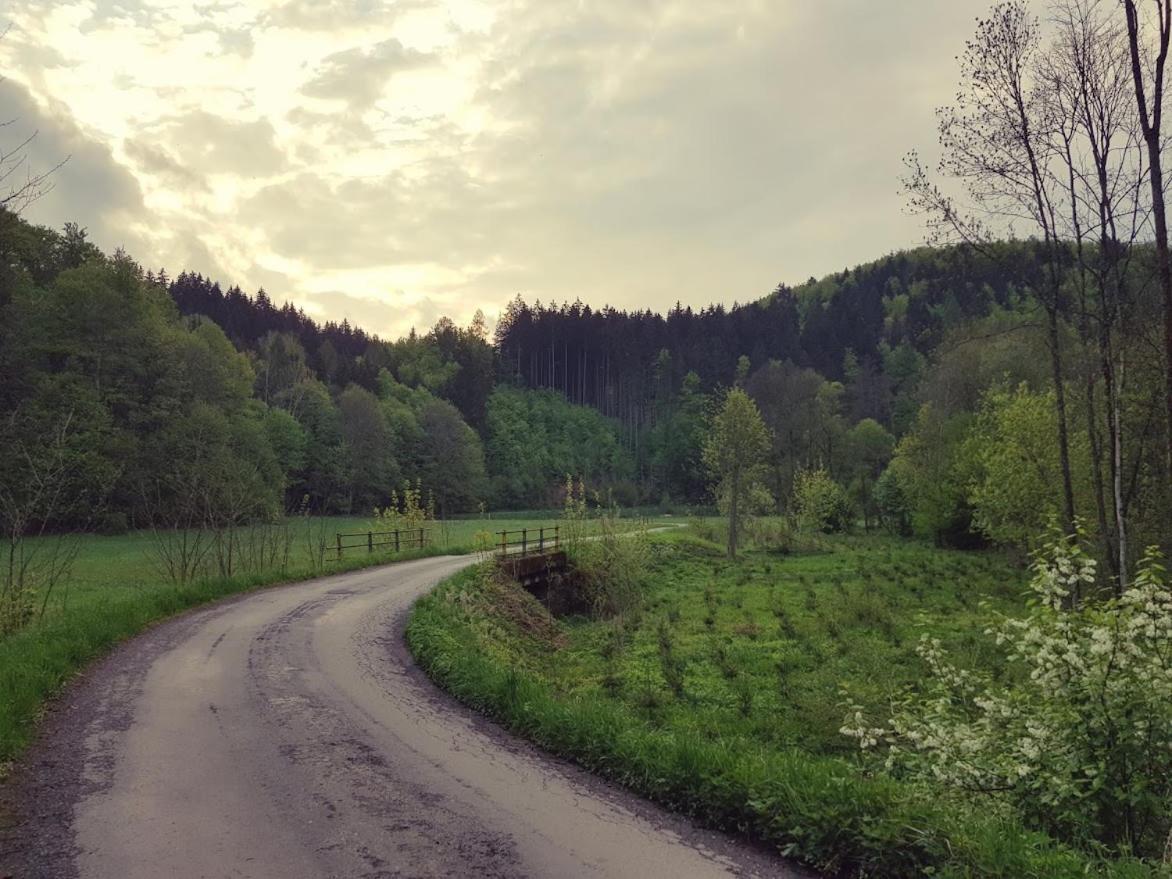 Schupplerova Vila Hostejn エクステリア 写真